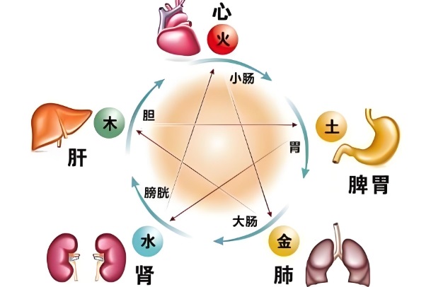 {随机变量I5}