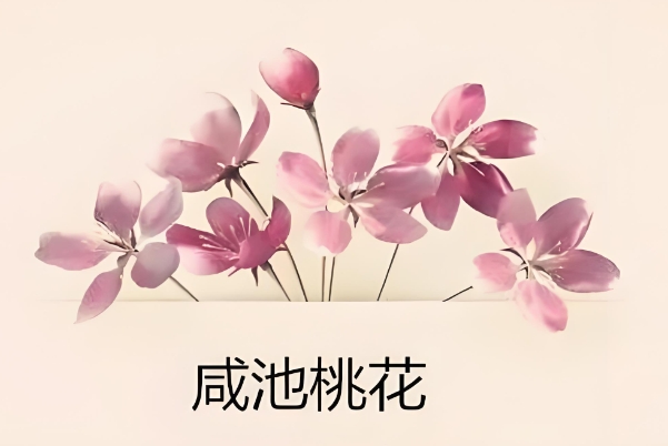 {随机变量I7}
