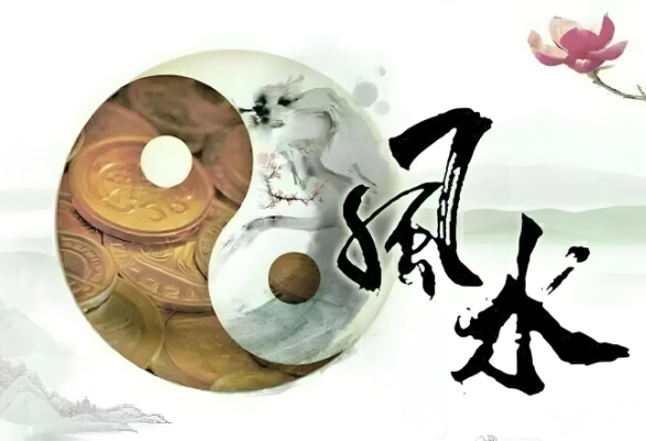 {随机变量I7}