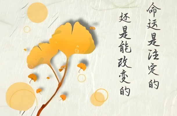 {随机变量I7}