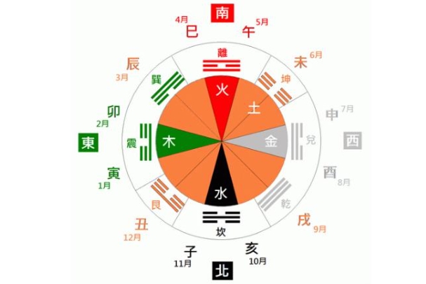 投资者专析