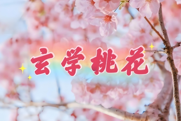 {随机变量I12}