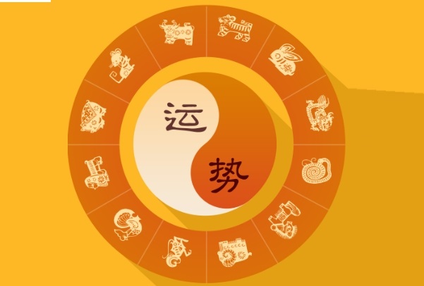 养生分析