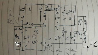 风水轮摆放解析（详细介绍风水轮摆放原理与正确使用方法）