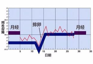 月经风水之禁忌与调理（女性月经保健避免忌讳科学控制生理周期）