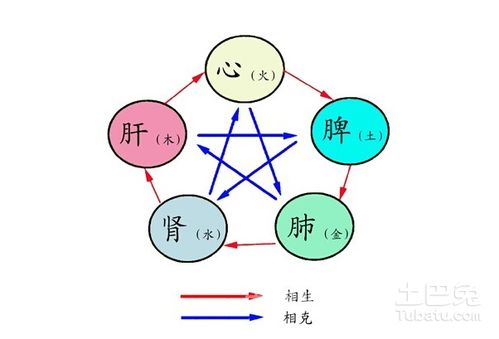 阴阳五行属性是什么 阴阳与五行有什么关系（阴阳五行是指）