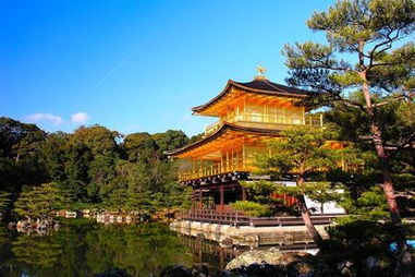 日本本州旅游攻略：探索日本本州的自然美景？本州最美的五大景点推荐