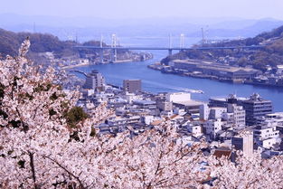 日本留学去哪个城市？日本留学城市排行榜