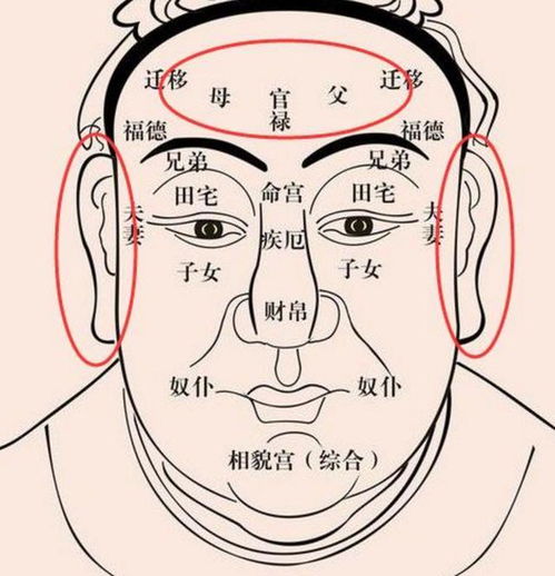 面部痣的位置与命运有什么预示吗？面相痣相解析