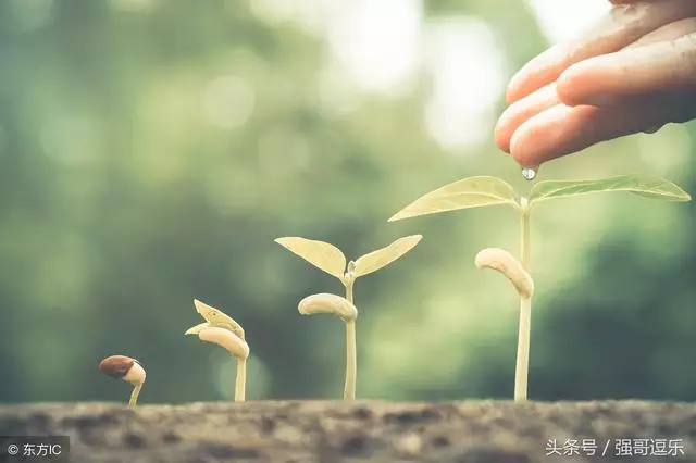 什么星座男最疼狮子女，星座男们眼中的狮子女