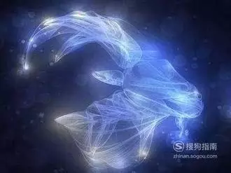 十二星座的特点和性格，各星座的性格特点