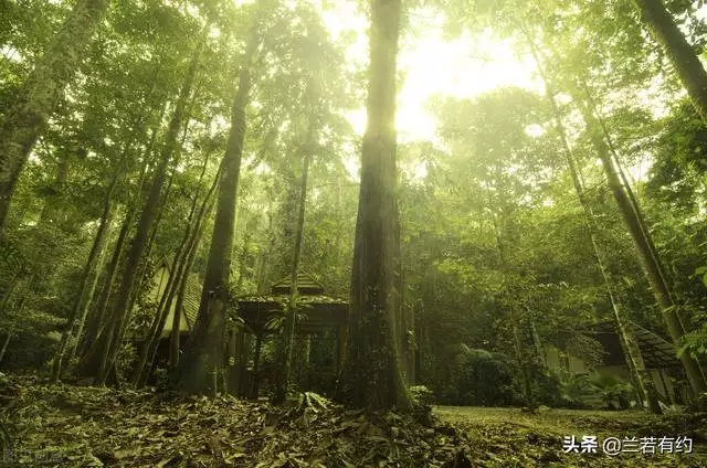 只有摩羯座才有的气质，摩羯座一生只有两件事