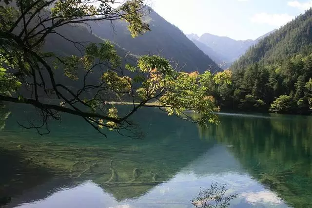 射手座未来三年的运势，射手座下半年运势