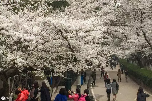 双鱼男的性格特点和致命弱点，双鱼座男的优点和缺点