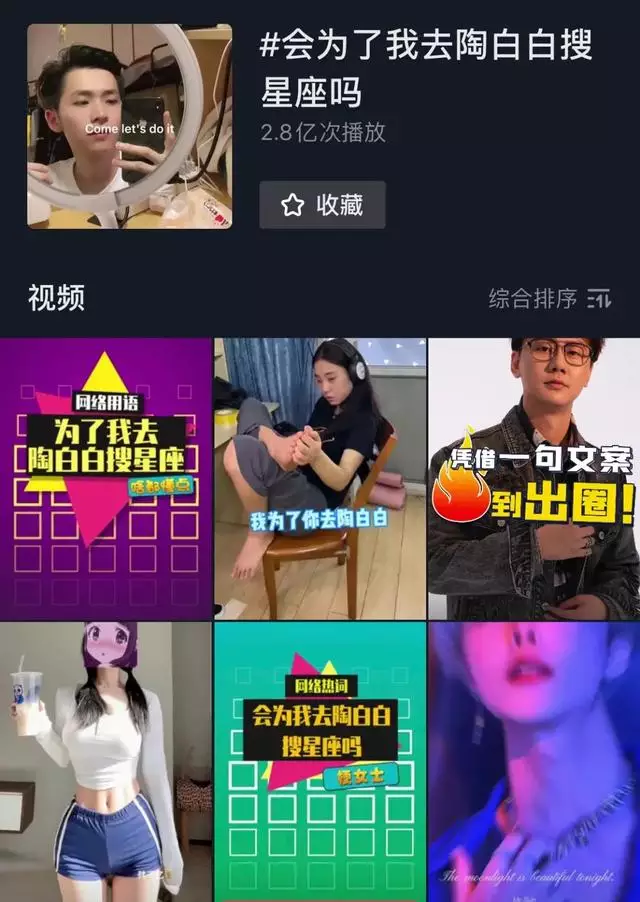 陶白白在哪里看，陶白白微信