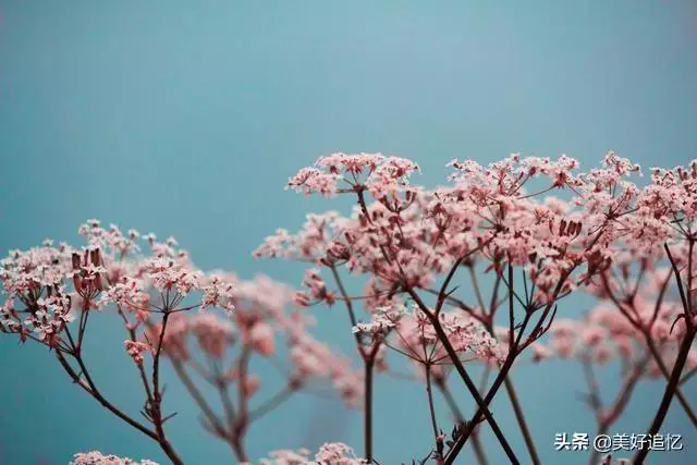 天秤座对在乎的人的真正表现，天秤男暗恋的典型表现