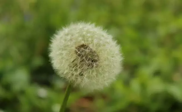 射手座最不该爱上的三个星座，十二星座中哪个星座最厉害