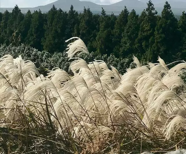 水瓶座的人的性格脾气，摩羯座男生性格特点