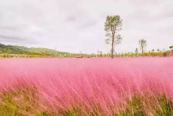 哪个星座女生最聪明，十二星座女谁最聪明排名