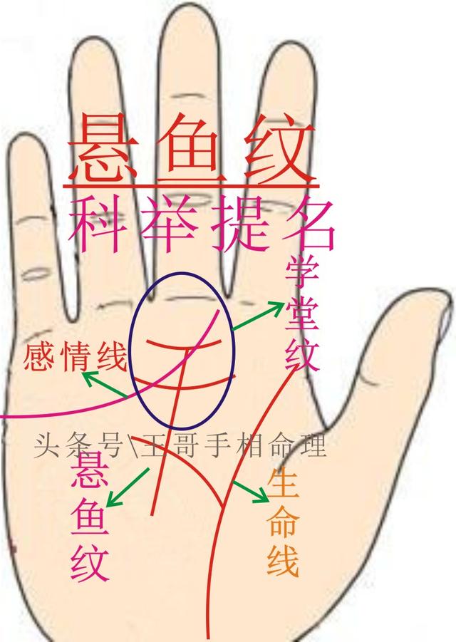 手相当官纹(八字就是人的福报)